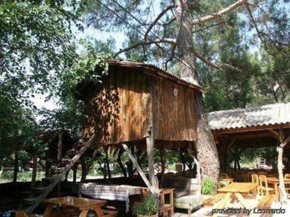 Türkmen Tree Houses